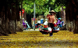 Hà Nội