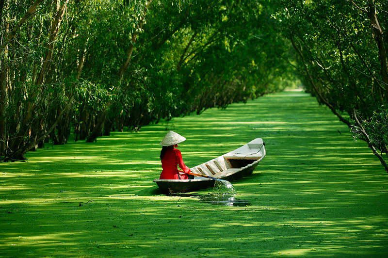 CLASSIC MEKONG DELTA TOUR FULL DAY